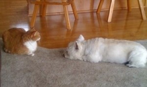 Gus' adoration for John-Kelly was unmeasured